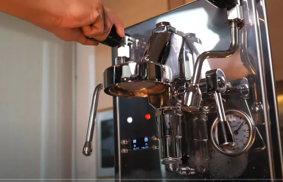 Magister Stella Dual